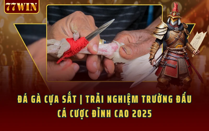 Đá Gà Cựa Sắt | Trải Nghiệm Trường Đấu Cá Cược Đỉnh Cao 2025