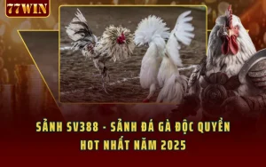 Sảnh SV388 - Sảnh Đá Gà Độc Quyền HOT Nhất Năm 2025