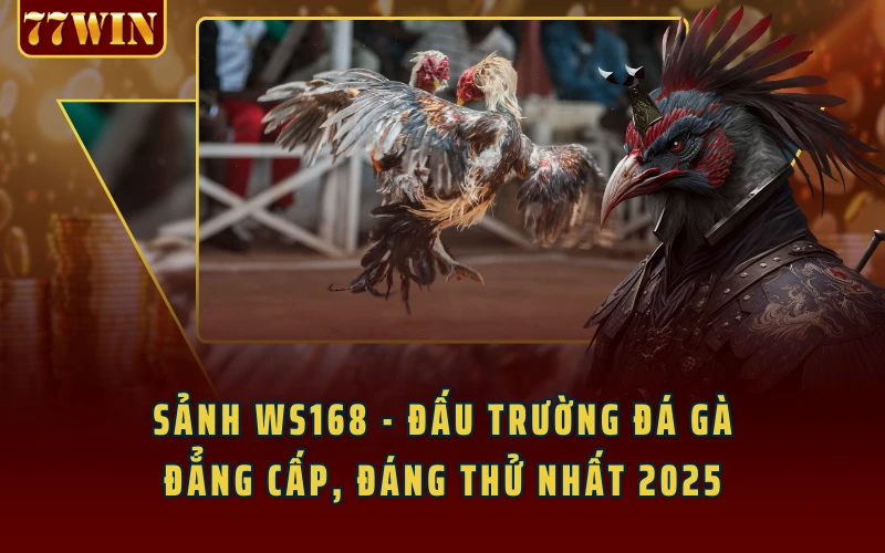 Sảnh WS168 - Đấu Trường Đá Gà Đẳng Cấp, Đáng Thử Nhất 2025